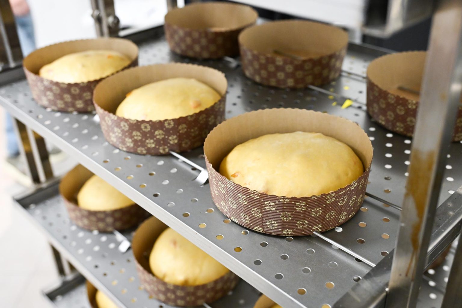 Lavorazione panettoni in laboratorio Exentia